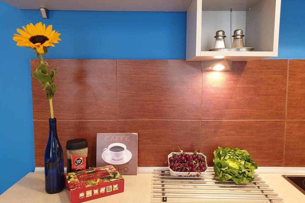 The Quiet Blue Home In The City Center! Krakow Luaran gambar